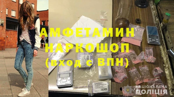 индика Алзамай