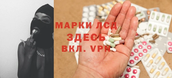 индика Алзамай