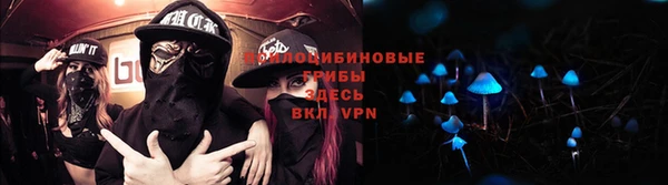 индика Алзамай