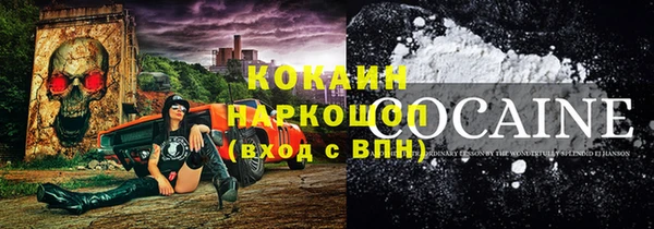 индика Алзамай