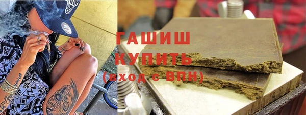 индика Алзамай