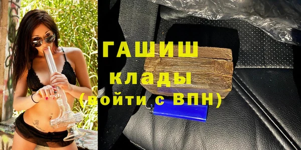 индика Алзамай