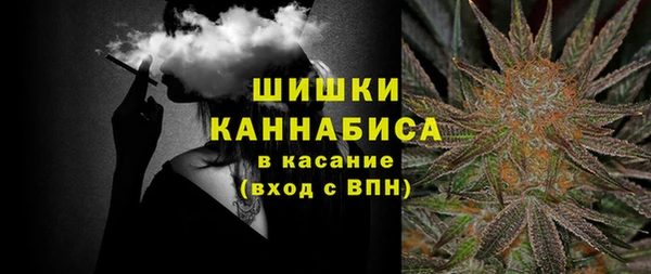 индика Алзамай