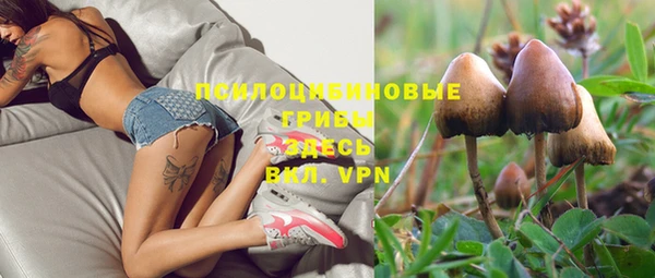 скорость Алексеевка