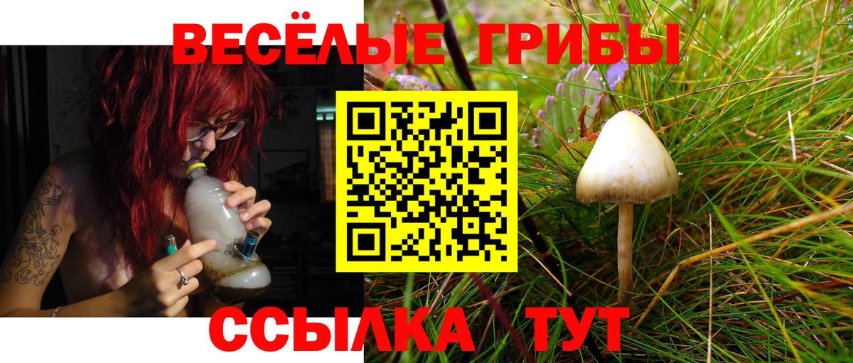 Галлюциногенные грибы GOLDEN TEACHER  Вход с VPN  Галлюциногенные грибы Psilocybe  Магадан 